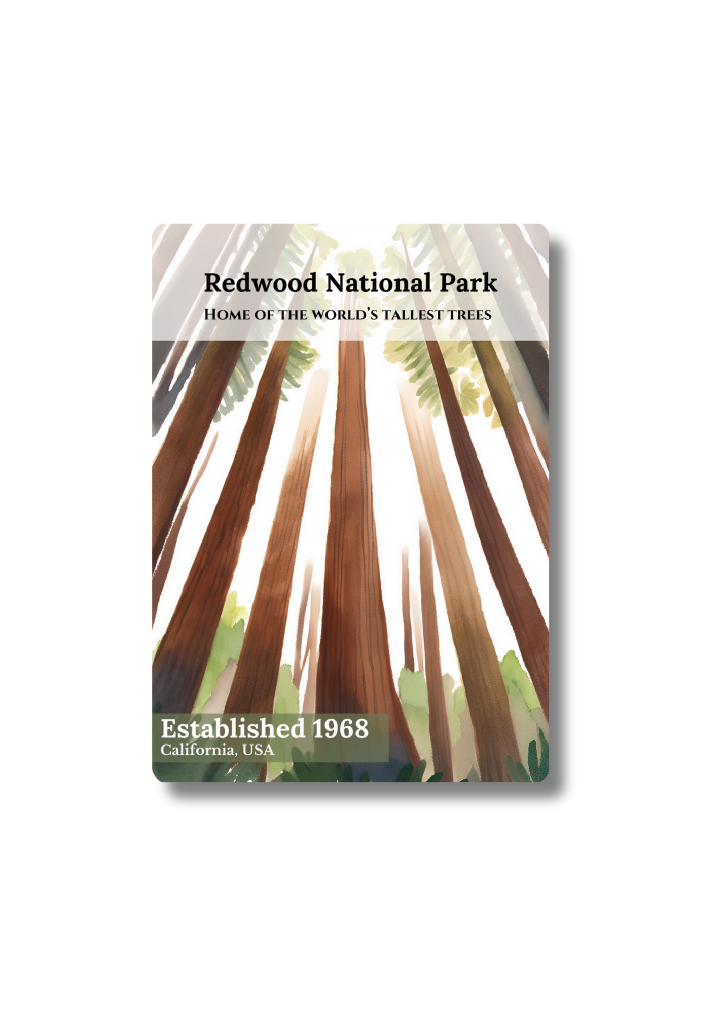 Redwood National Park