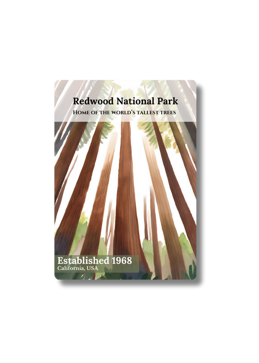Redwood National Park