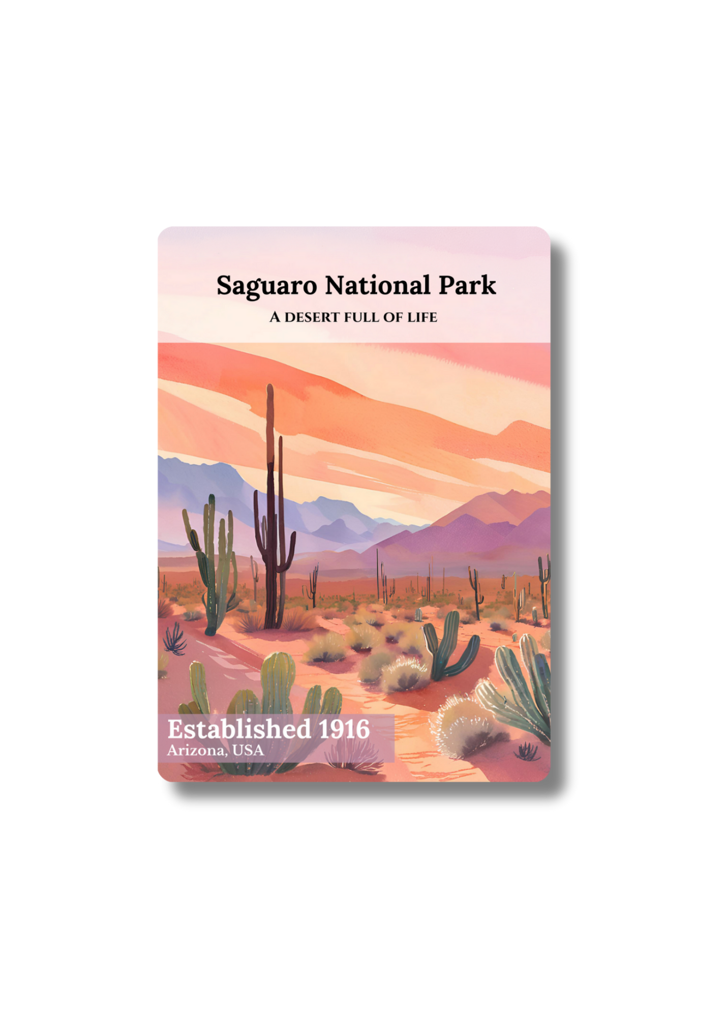 Saguaro National Park
