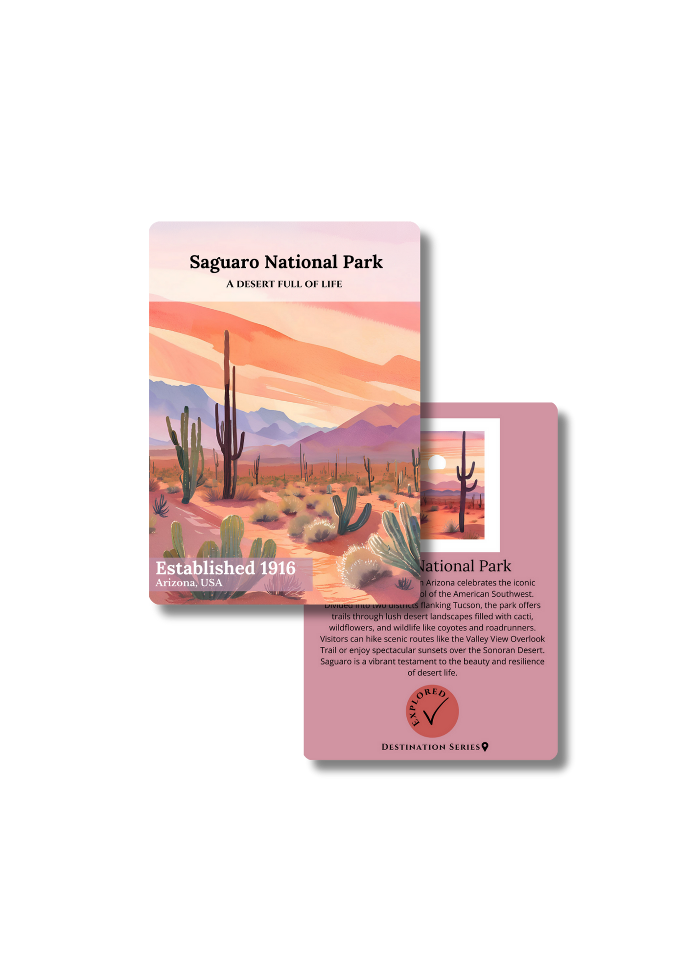 Saguaro National Park